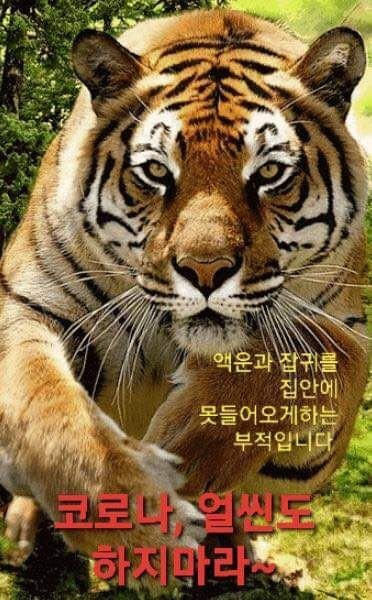 어르신들 사이에서 도는 코로나 쫓는 짤.jpg | 인스티즈