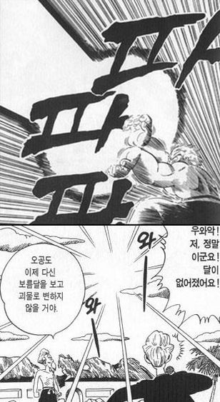 드래곤볼 무천도사 클라스.jpg | 인스티즈