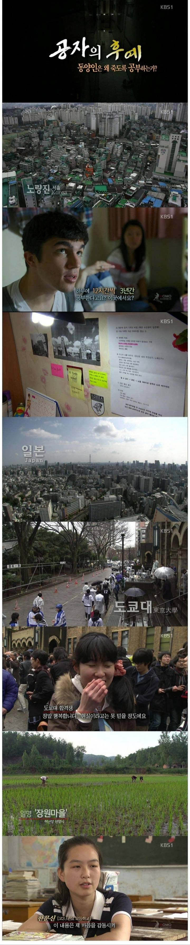 동양인은 왜 죽도록 공부하는가? | 인스티즈