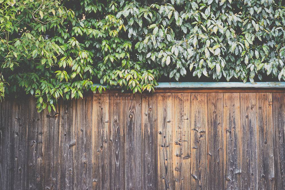 스냅사진 위주의 유치진지한 여행기 - 오사카&교토 (3) | 인스티즈