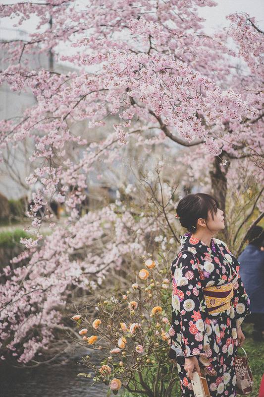 스냅사진 위주의 유치진지한 여행기 - 오사카&교토 (3) | 인스티즈