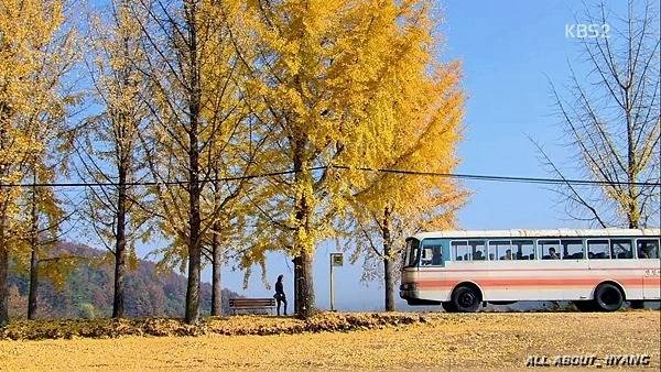  각 계절의 냄새가 나는 드라마들 | 인스티즈