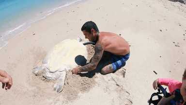 누워서 자고 있었는데 깨움.gif | 인스티즈