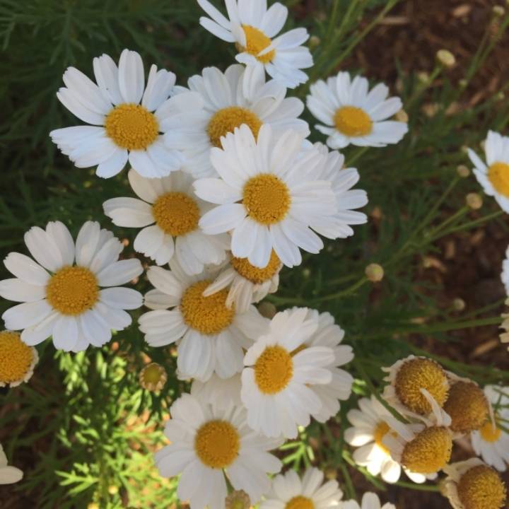 결혼한 후 알게 되는 것들.jpg | 인스티즈