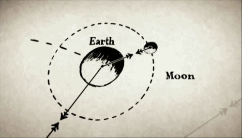 폴란드 하면 가장 먼저 떠오르는 인물은?.jpg | 인스티즈