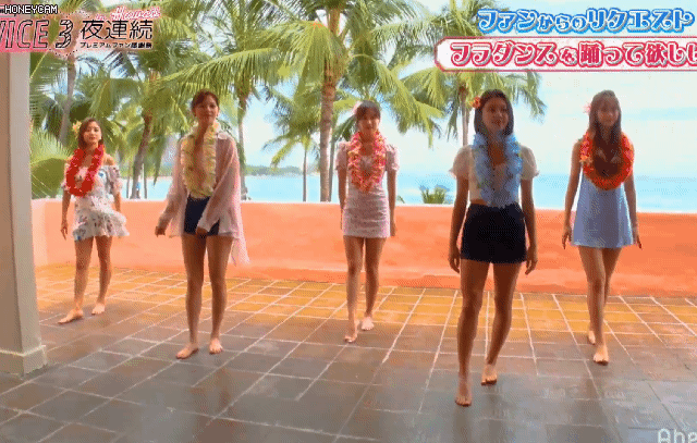 TWICEZIN HAWAII'S 미나리~♥ | 인스티즈