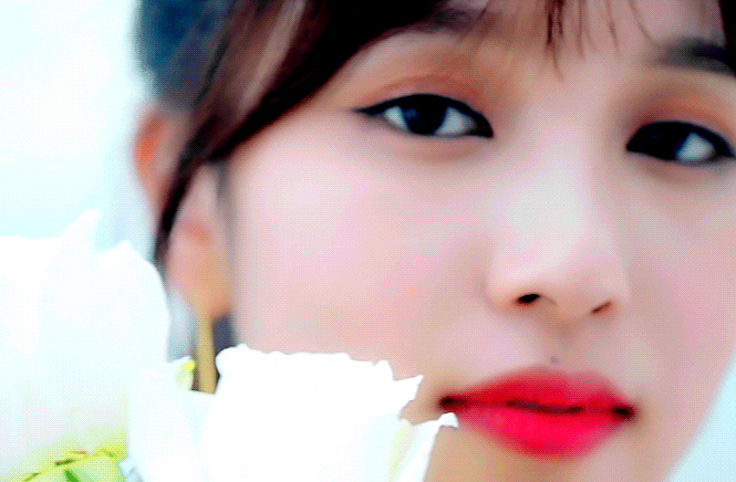 TWICEZIN HAWAII'S 미나리~♥ | 인스티즈