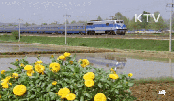 1980년대 흔했던 단체 신혼여행.gif | 인스티즈