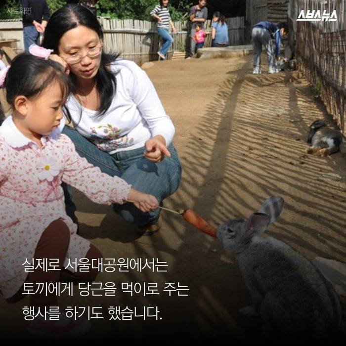  토끼가 당근을 못 먹는다고요? | 인스티즈