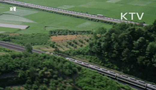 1980년대 흔했던 단체 신혼여행.gif | 인스티즈