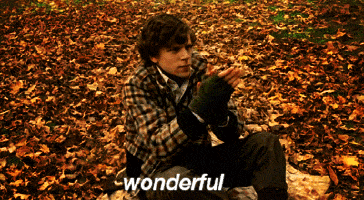 대한민국 드래곤볼 끝판왕이 여깄다. | 인스티즈