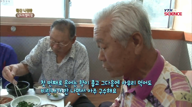 은어밥이라고 들어봤소? | 인스티즈