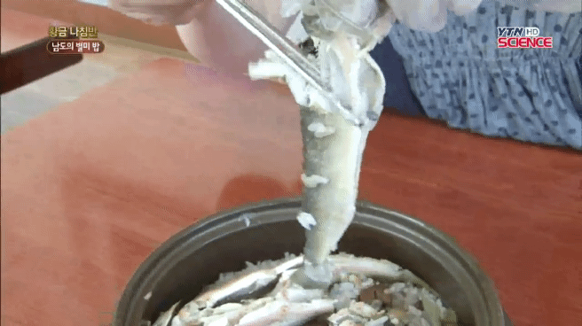 은어밥이라고 들어봤소? | 인스티즈