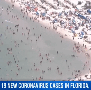 코로나 바이러스 여파로 360도 변해버린 플로리다 해변가.gif | 인스티즈