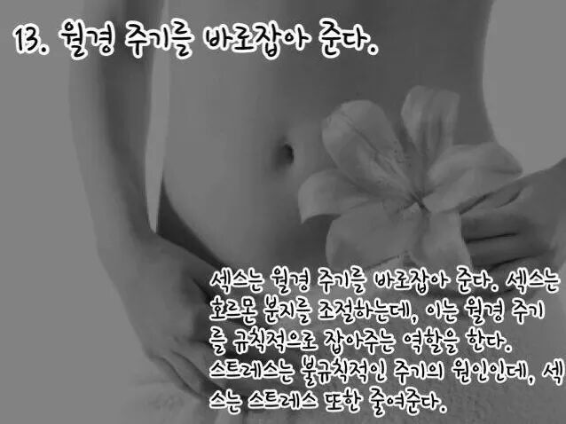 섹스를 매일해야하는 16가지 이유 | 인스티즈