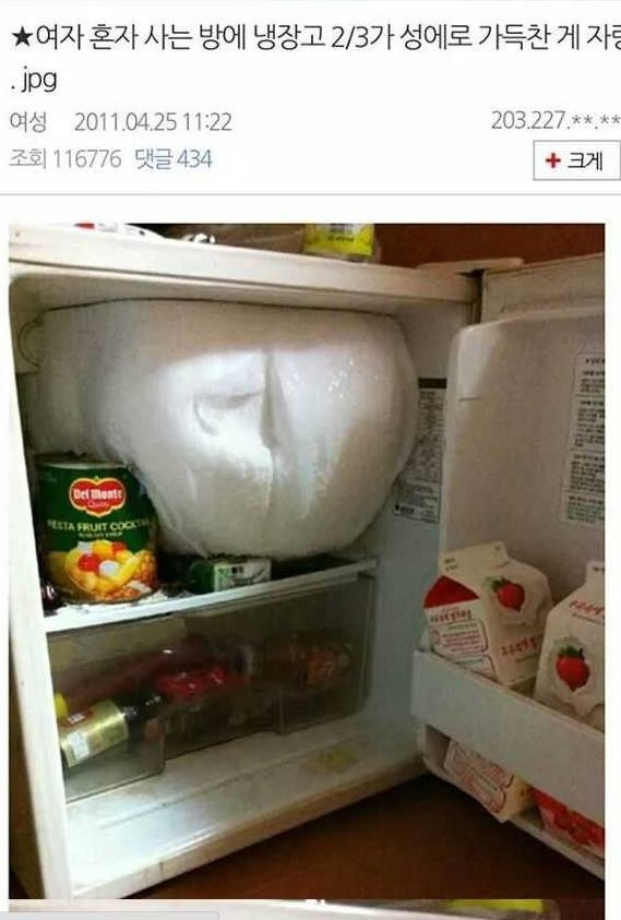 냉장고 대참사+베플 | 인스티즈