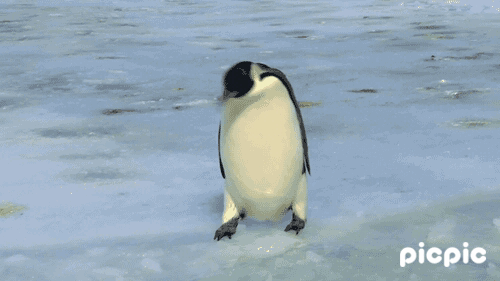 아장아장~ 푹! | 인스티즈