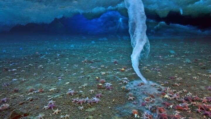 바닷속 생물들에게 죽음의 기둥이라 불리는 존재 | 인스티즈