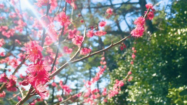 부산야경 여기는 몰랐을껄? and 부산 영도 [올해는국내여행!] | 인스티즈