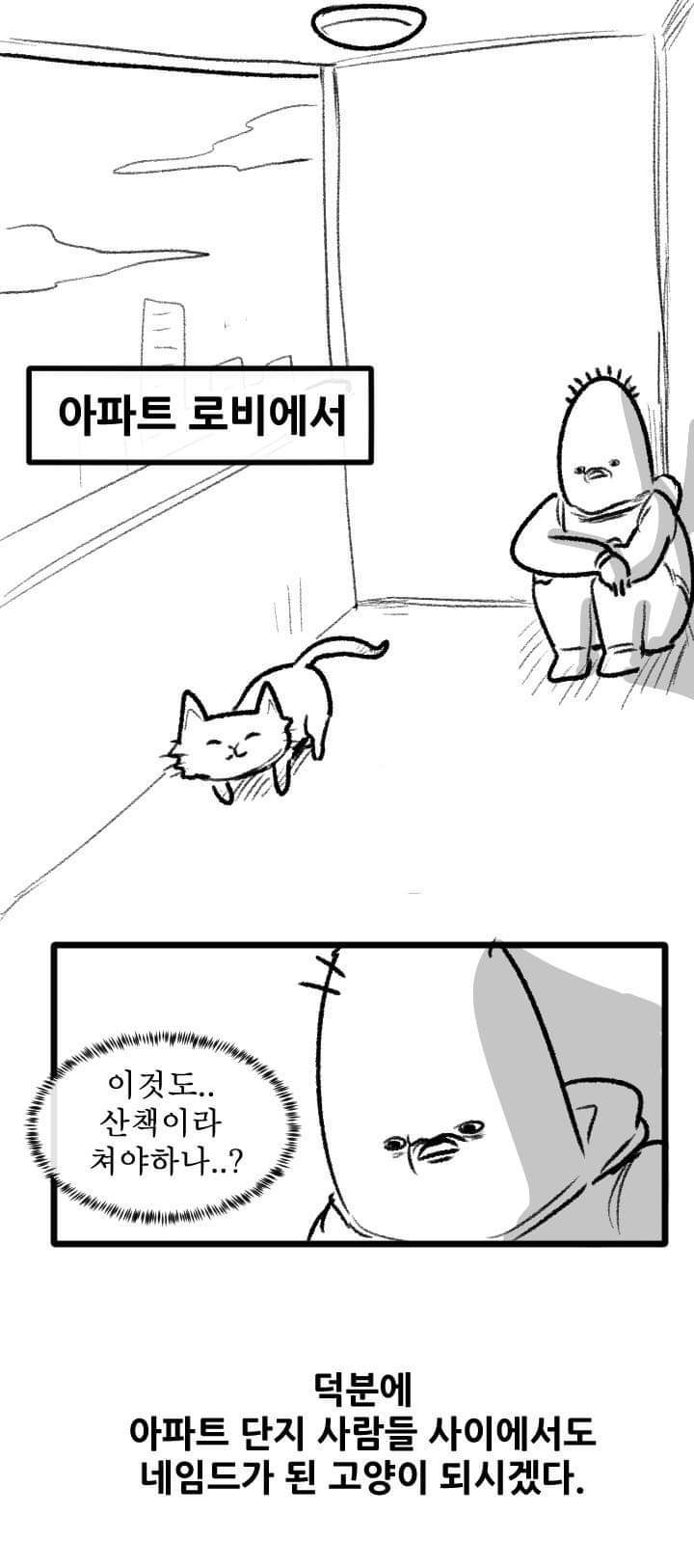 우리집 고양이 이야기.manhwa | 인스티즈