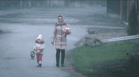 길에서 갑자기 텀블링하는 고양이 | 인스티즈