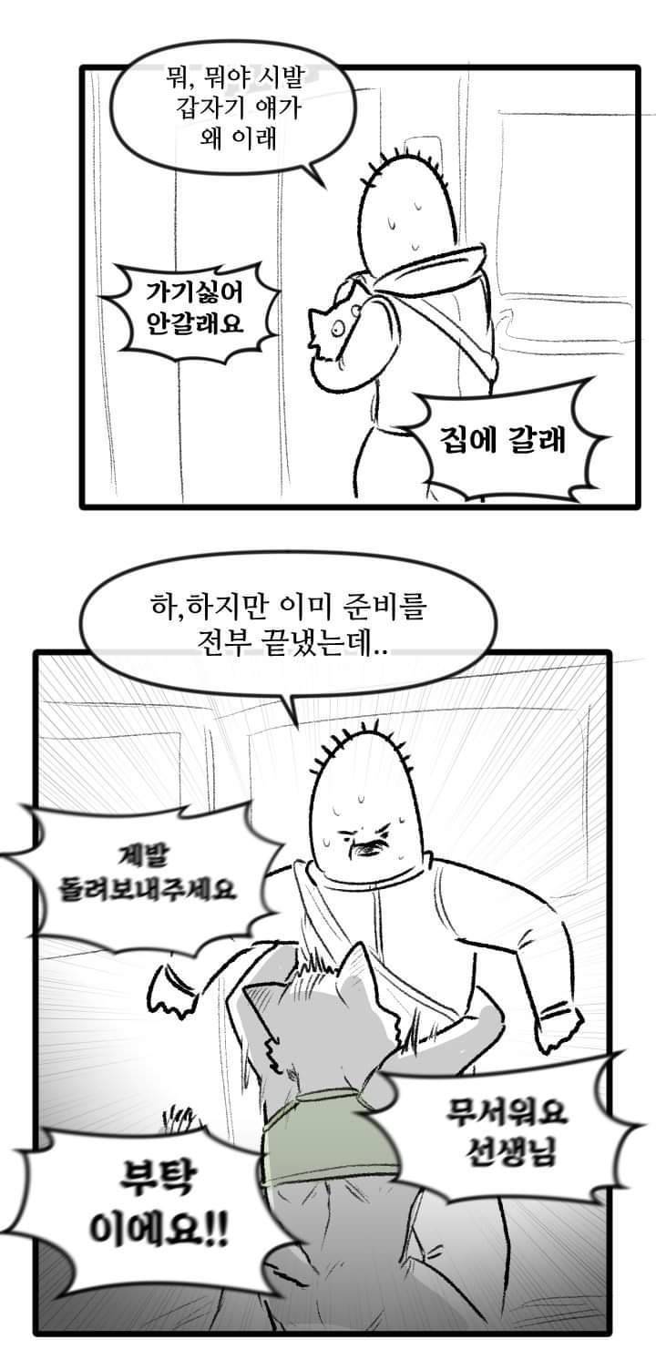 우리집 고양이 이야기.manhwa | 인스티즈