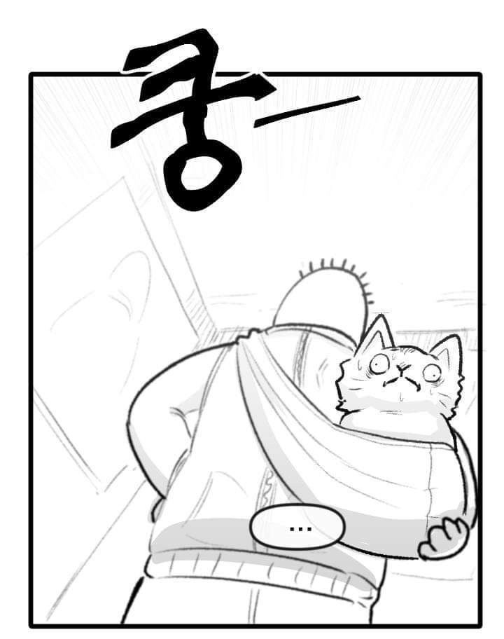 우리집 고양이 이야기.manhwa | 인스티즈