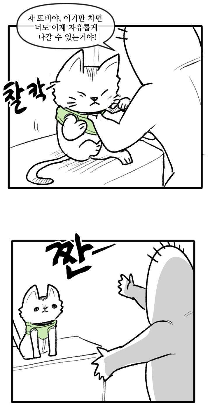 우리집 고양이 이야기.manhwa | 인스티즈