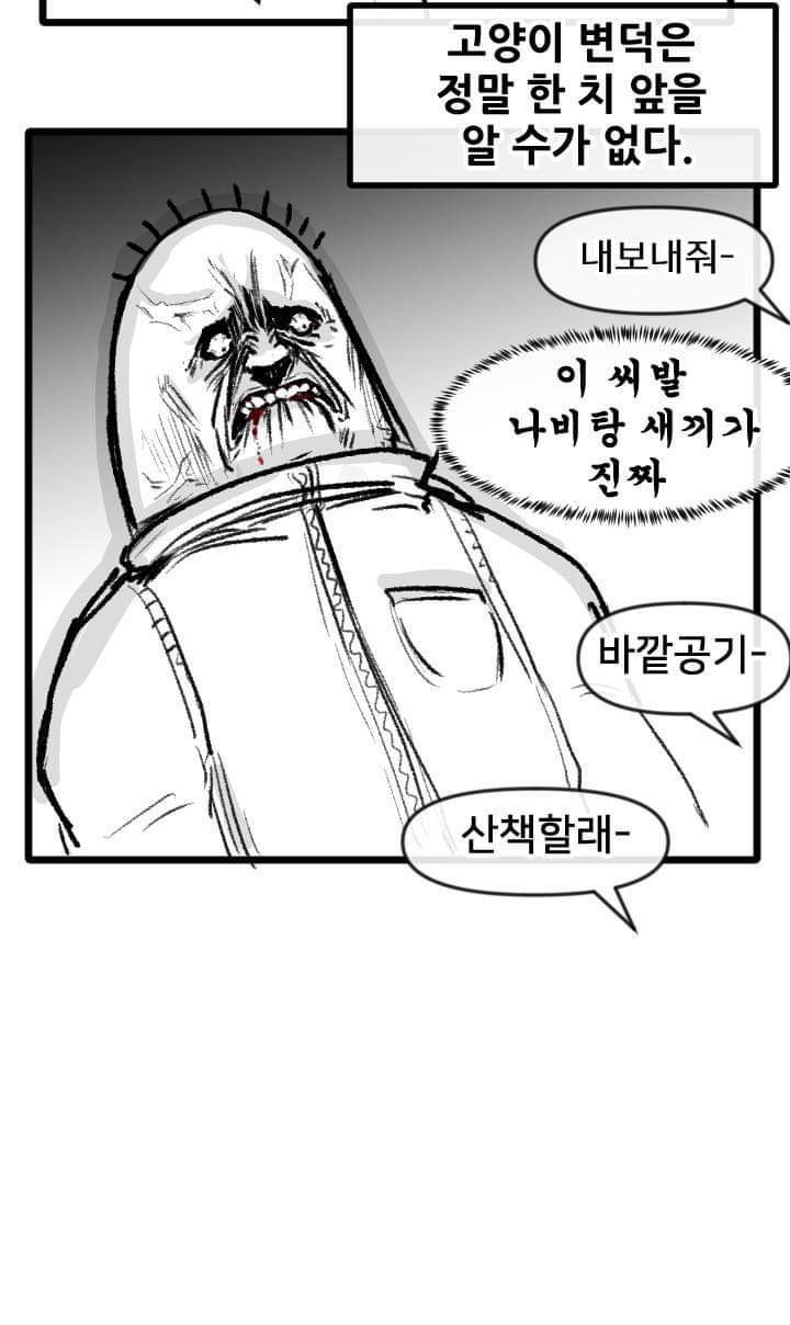 우리집 고양이 이야기.manhwa | 인스티즈