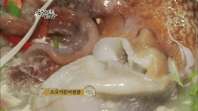 한국인의 밥상 울진 문어편 | 인스티즈