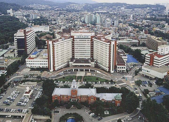 서울대병원 연세대병원 이 40년째 싸우고 있는 떡밥 | 인스티즈