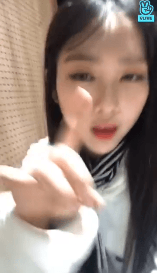 190301 오마이걸 지호 - 불꽃놀이One K 콘서트 + 190302 비밀정원 스압주의 | 인스티즈