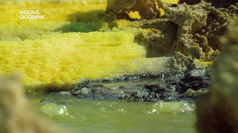 댈롤 화산: 지옥과 같은 이곳에 사는 단 하나의 생명체 | 인스티즈