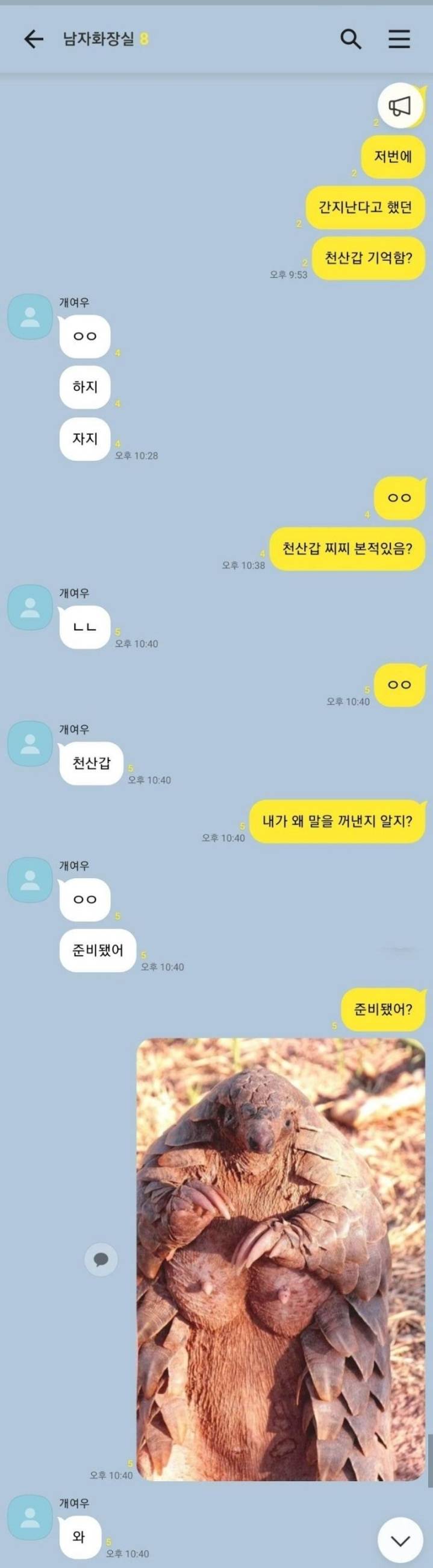 마음의 준비가 필요한 천산갑 가슴 | 인스티즈