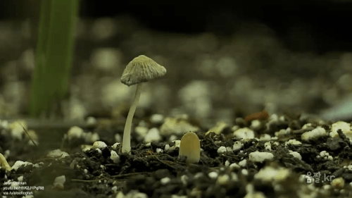 남들보다 뒤쳐진 게 아니에요 | 인스티즈