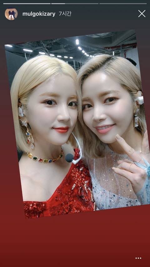 마마무 솔라 에이핑크 초롱.jpg | 인스티즈