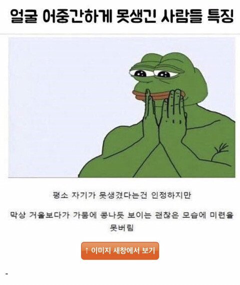 얼굴 어중간하게 못생긴사람 특징.JPG | 인스티즈