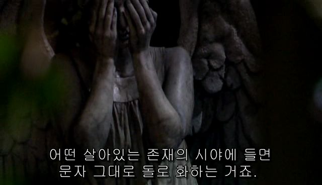 비밀4.jpg 닥터 후 에피소드 리뷰 - 우는 천사 편 (4)