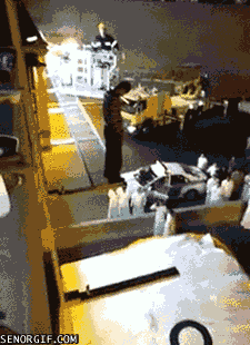 이젠 이유알기도 귀찮고 그냥 평화로운 일상임.gif | 인스티즈