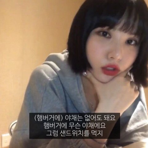 야채 가득한 햄버거를 보고 심기가 불편해진 여자친구 은하.jpg | 인스티즈