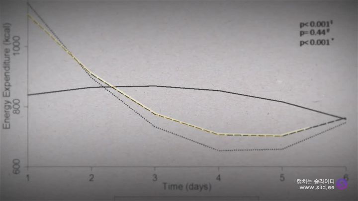 다이어트에 운동은 정말 도움이 되는걸까.jpg | 인스티즈