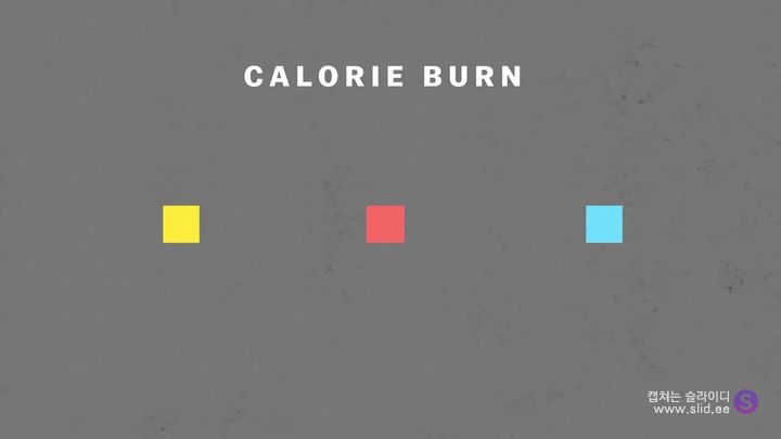 다이어트에 운동은 정말 도움이 되는걸까.jpg | 인스티즈