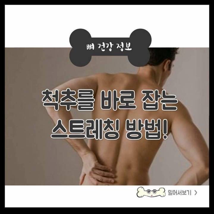 척추를 바로잡는 스트레칭 방법. jpg | 인스티즈