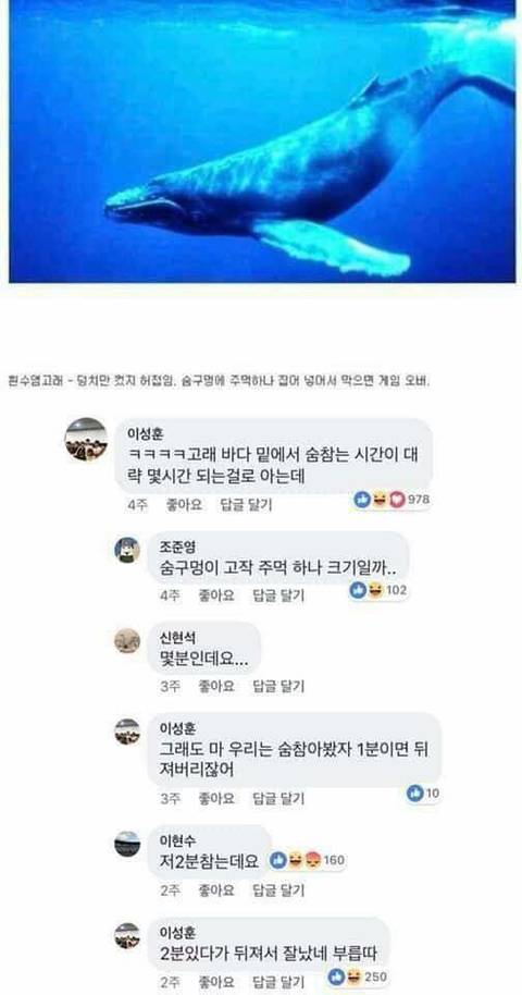 동물이랑 싸워서 이기는 법 | 인스티즈