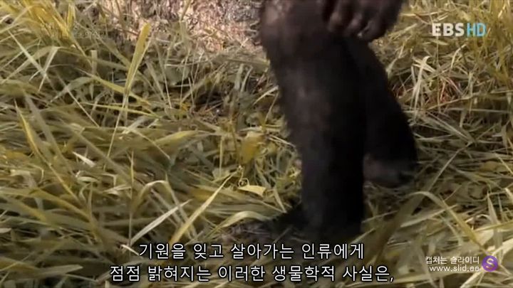 인류에게 게이가 꼭 필요할 수도 있는 이유.jpg | 인스티즈