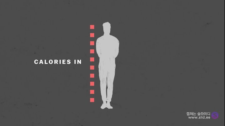 다이어트에 운동은 정말 도움이 되는걸까.jpg | 인스티즈