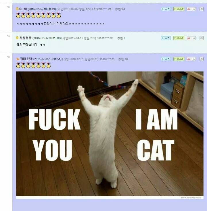 고양이앞에서 손가락 고리를 만들면.jpg | 인스티즈