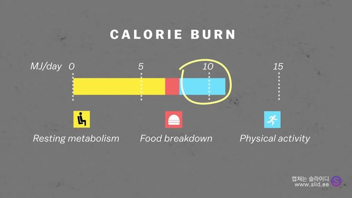 다이어트에 운동은 정말 도움이 되는걸까.jpg | 인스티즈