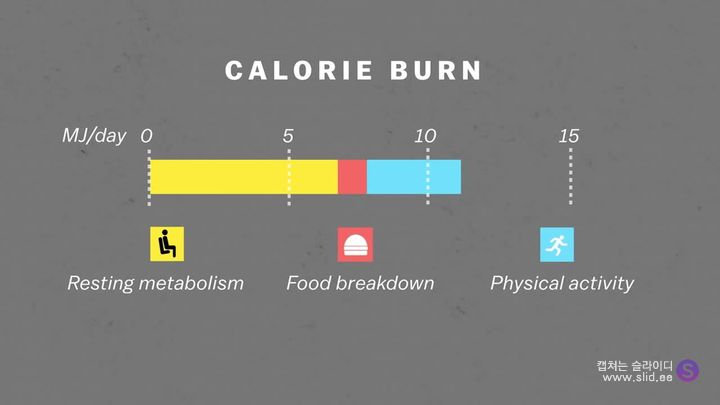 다이어트에 운동은 정말 도움이 되는걸까.jpg | 인스티즈