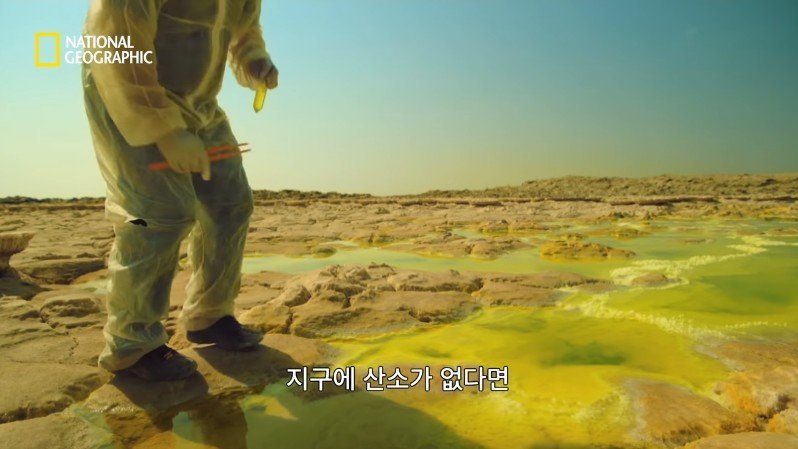 댈롤 화산: 지옥과 같은 이곳에 사는 단 하나의 생명체 | 인스티즈